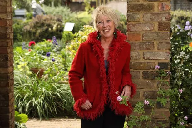 Carol Klein