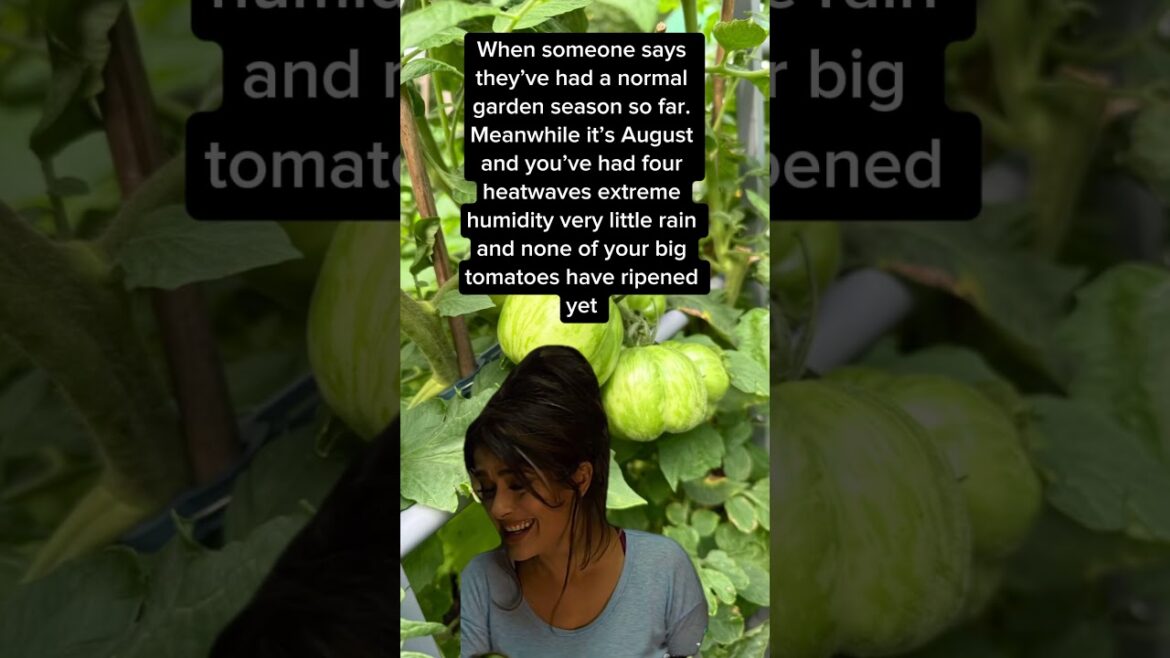 Gardening is tough #planthaul #gardendesign #gardeninspiration #garden #gardenplants #growyourown