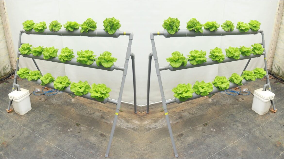 No garden - no solid - Growing a 3-storey vegetable garden right on the rooftop