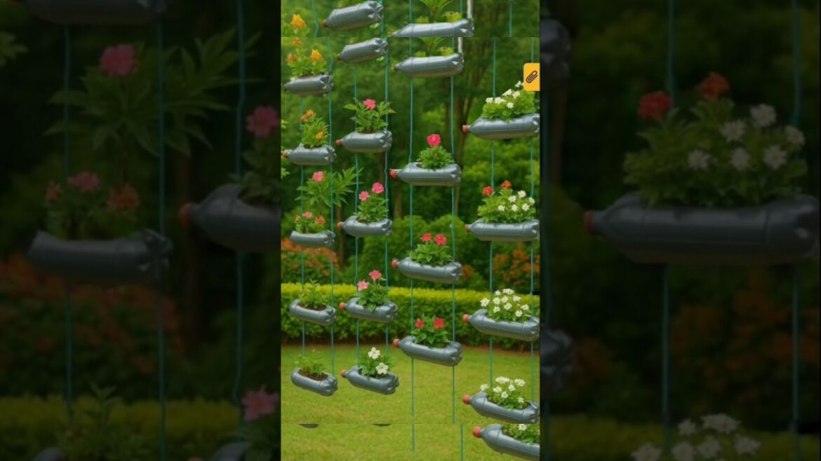 Outdoor Oasis Decorating ideas 🌼😲#gardening#oasis#homedecor#nature#plants#gardendecor#ytshrts#shorts