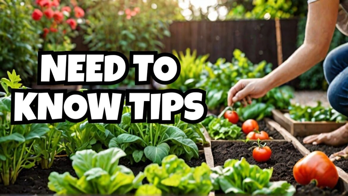 Vegetable Garden Hacks You NEED To Know! Best Planting Tips