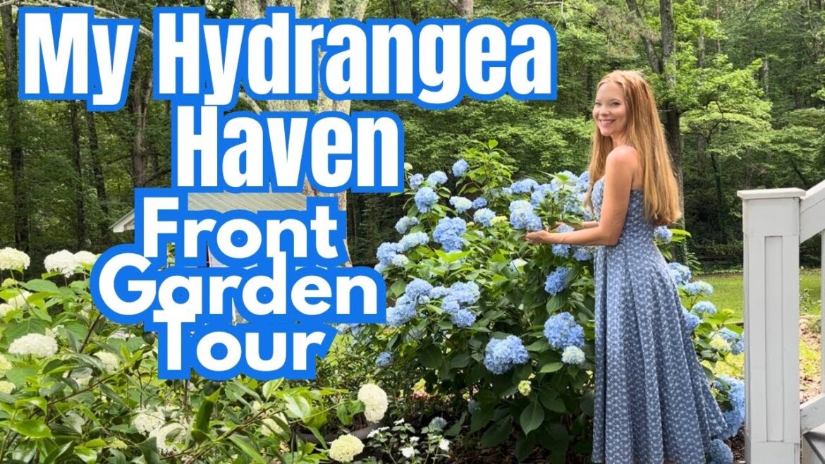 💙Front Yard Garden Tour | Hydrangeas | Late Spring 💙Front Yard Garden Tour | Hydrangeas | Late Spring