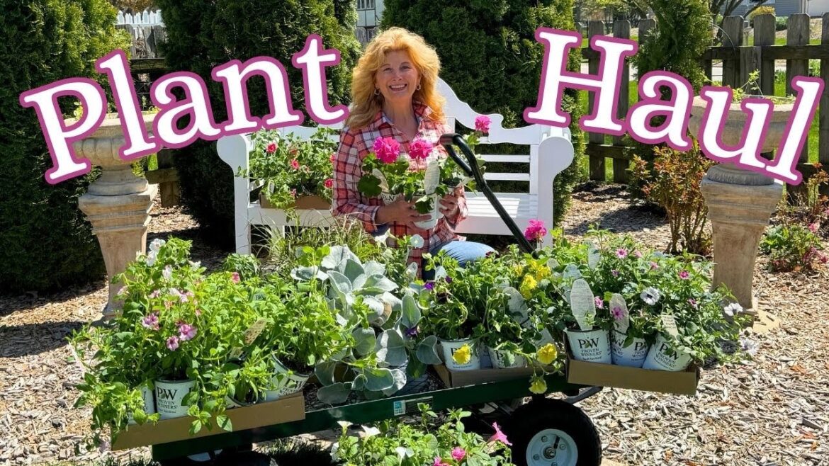 AMAZING Plant Haul and Garden Thrift Finds!