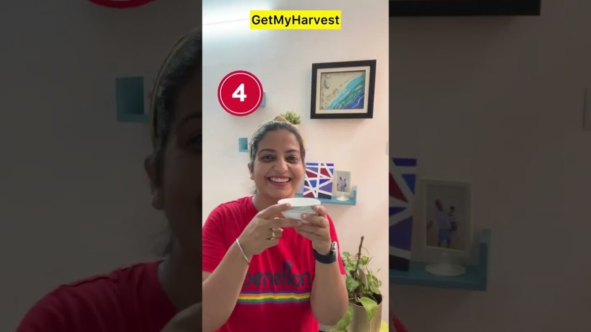 Mere Top Plant Hacks—Gardening Made Easy | Plant Care Hacks Every Indian Gardener Should Know!