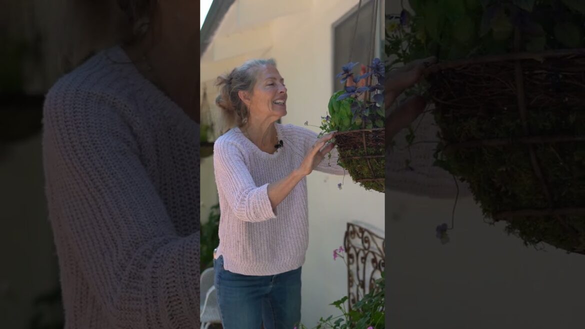 Basil Basket Update! #garden #ediblegardening #basil #gardenadvice💚