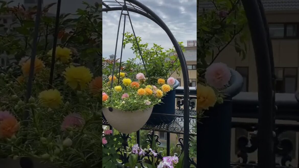 Outside Garden Decor ideas 🌸🌴#gardening #outdoordecor #asmr #oasis #plants #ytshrts