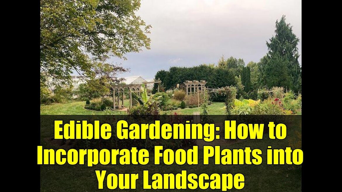 Edible Gardening: How to Incorporate Food Plants into Your Landscape