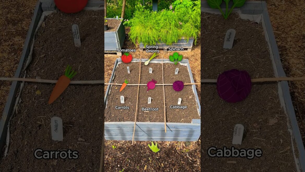 1 Small Bed, 6 Different Crops (Square Foot Growing)