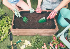 Young couple (heads not seen) use trowels to dig into a small raised garden bed on Astroturf, surrounded by gardening accessories.