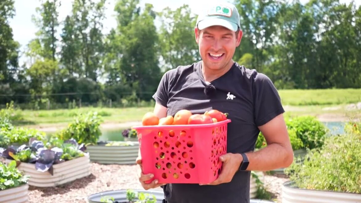 I Don’t Think I Can Continue This.