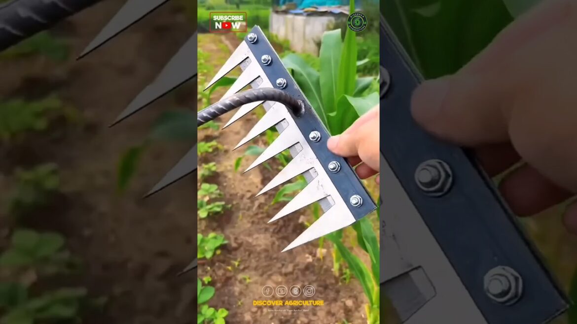 Amazing Weeding Tool