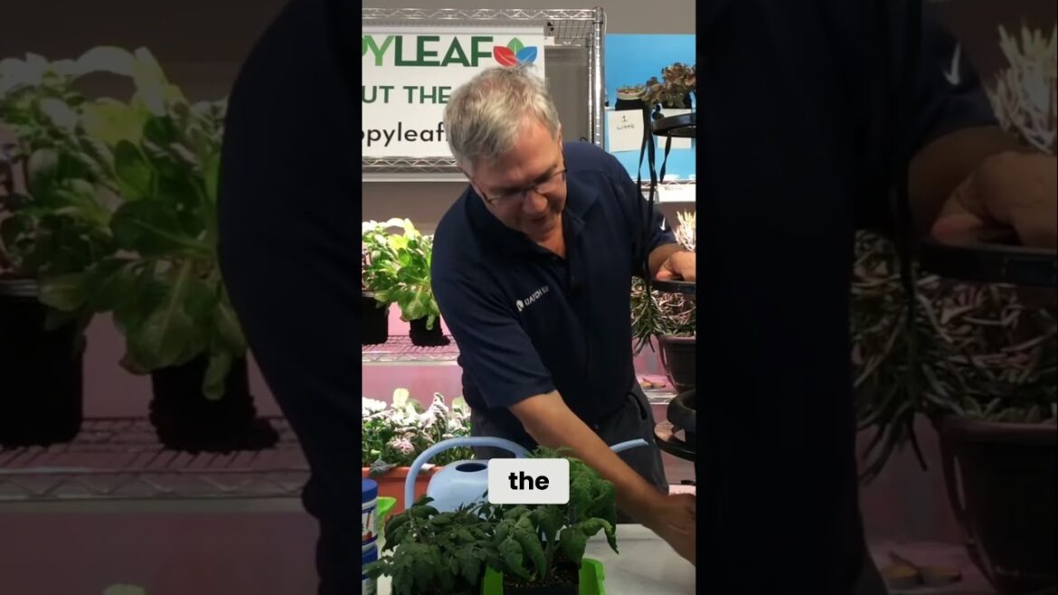 Self-Watering Container Gardening: Easy Watering Tips & Tricks! #indoorgardening #ledgrowlights Self-Watering Container Gardening: Easy Watering Tips & Tricks! #indoorgardening #ledgrowlights