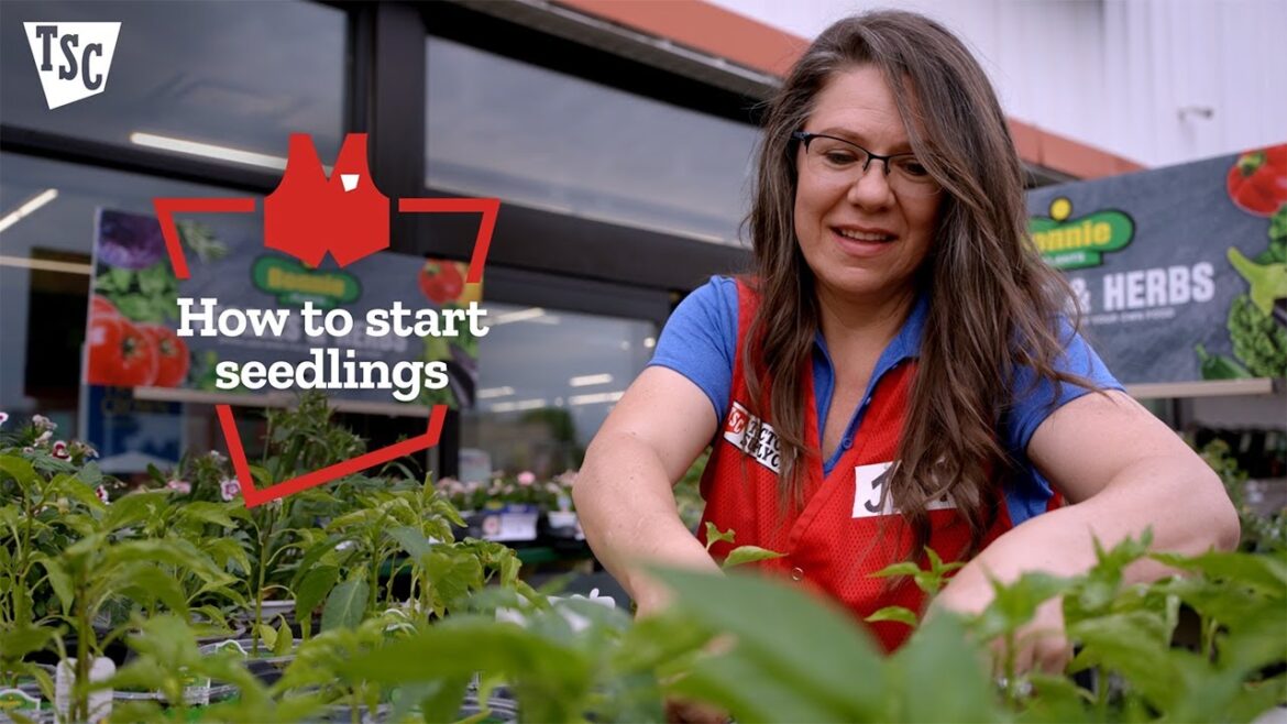 How to Start Seedlings | Tractor Supply Co. How to Start Seedlings | Tractor Supply Co.