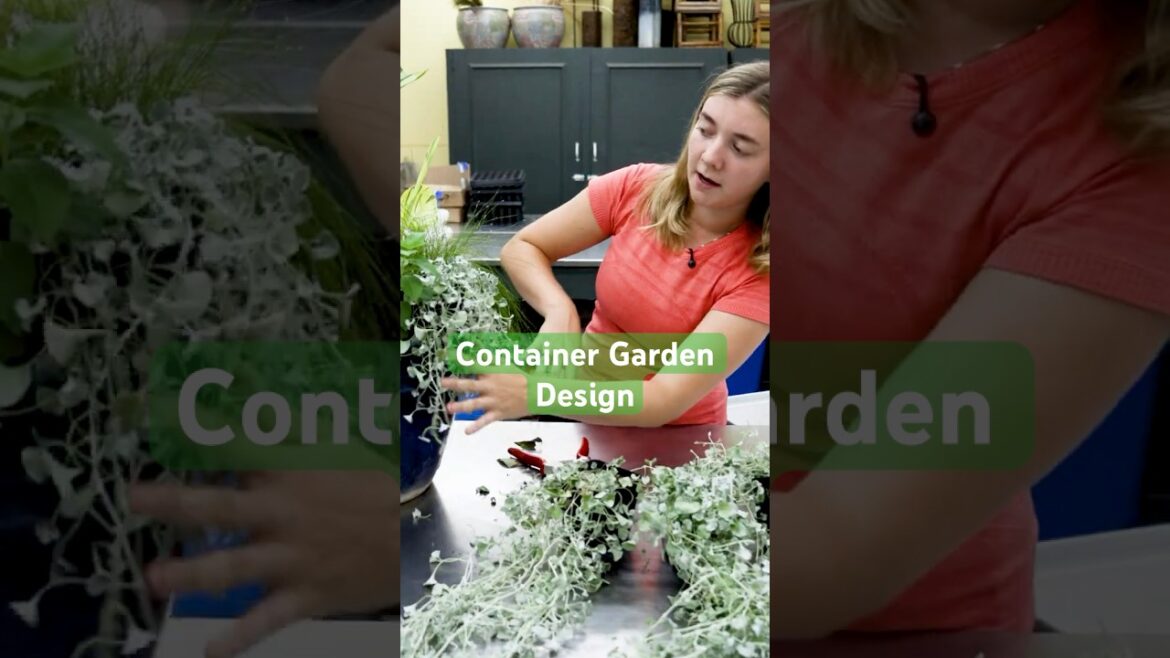 Container Garden Design