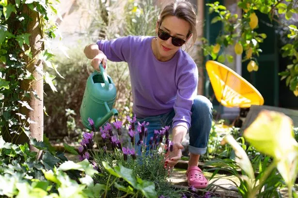 A woman doing her gardening