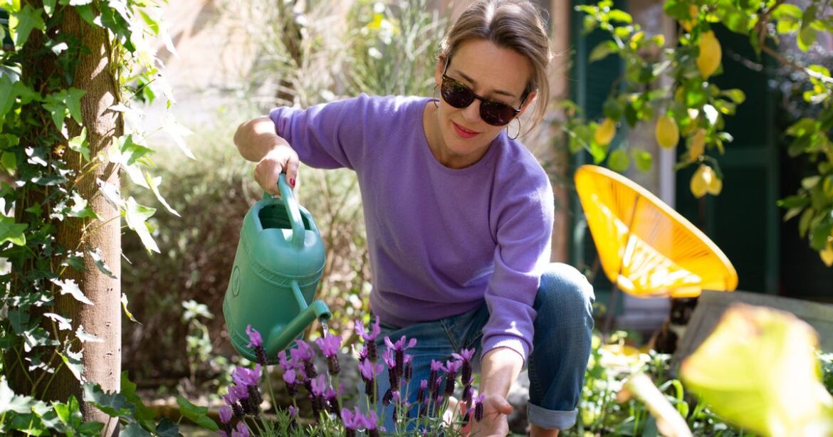 Households urged to do one task with garden centre plants to save money Ipso logo