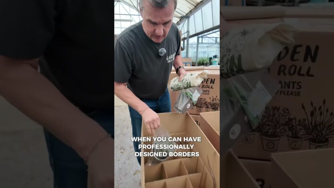 Summer savings are here!