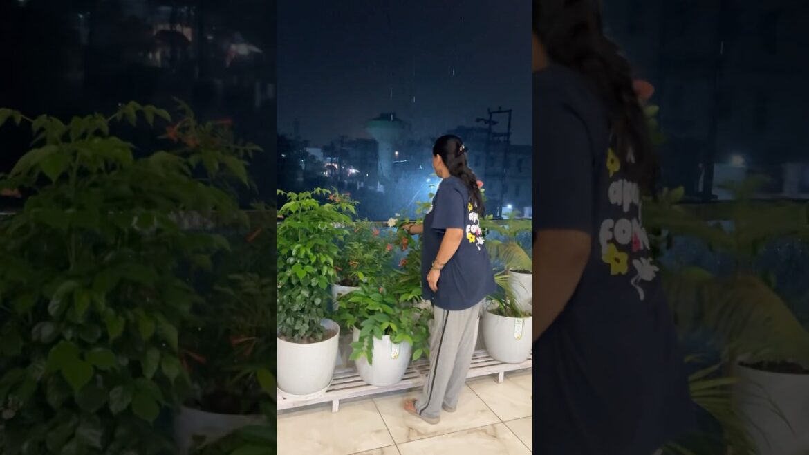 Balcony garden ideas and decoration 🫶🏻🌱 #gardening #balconygarden #balconyplants #plantlover