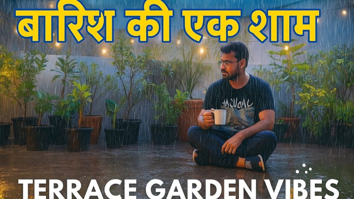 TERRACE GARDEN TOUR | GARDEN KI DUNIYA  #garden #bonsai #gardening #trending #nature TERRACE GARDEN TOUR | GARDEN KI DUNIYA  #garden #bonsai #gardening #trending #nature