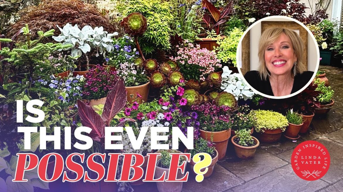 Is This Type Of Gardening Even Possible 🌿