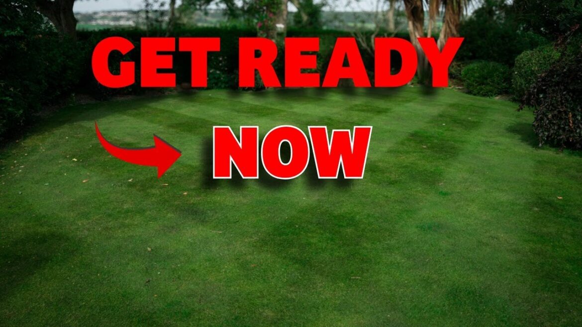 Summer’s Nearly OVER! Fix Your Lawn Before It’s Too Late Summer’s Nearly OVER! Fix Your Lawn Before It’s Too Late