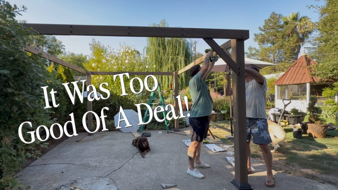 This Gazebo Wasn’t In Our Backyard Plans, But… || Visit Our Garden This Gazebo Wasn’t In Our Backyard Plans, But… || Visit Our Garden