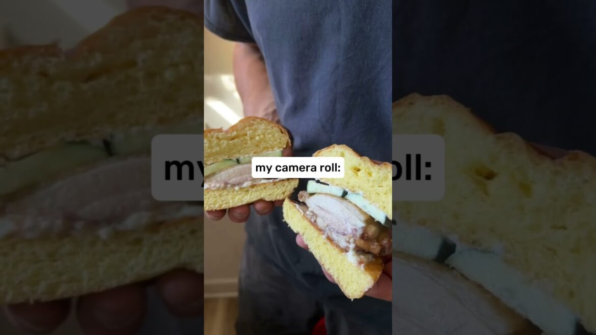 #landscaping #comedy #garden #design #backyard #construction #pitbull #artificialturf #pergola #diy