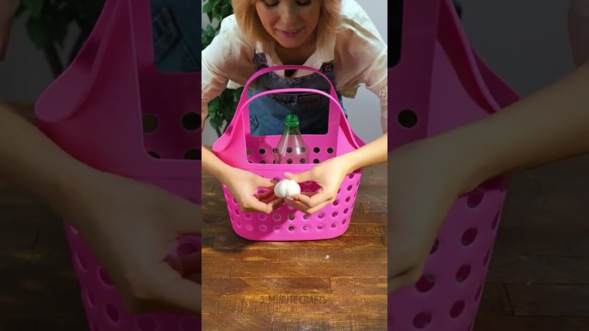 Easy Garden Growth Tips Easy Garden Growth Tips