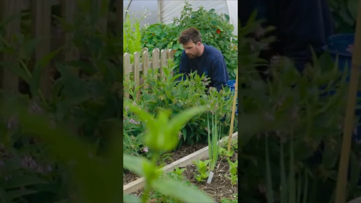 A Genius Composting Trick For Gardeners