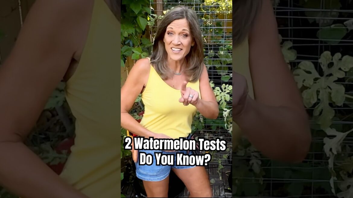 2 Simple Simple Water Melon Tests