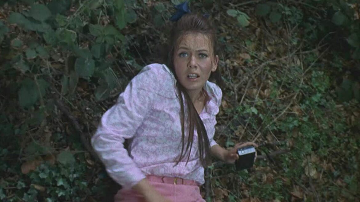 ASSAULT aka IN THE DEVIL’S GARDEN British ‘Giallo’ – reviews and free on YouTube ASSAULT aka IN THE DEVIL'S GARDEN British 'Giallo' - reviews and free on YouTube