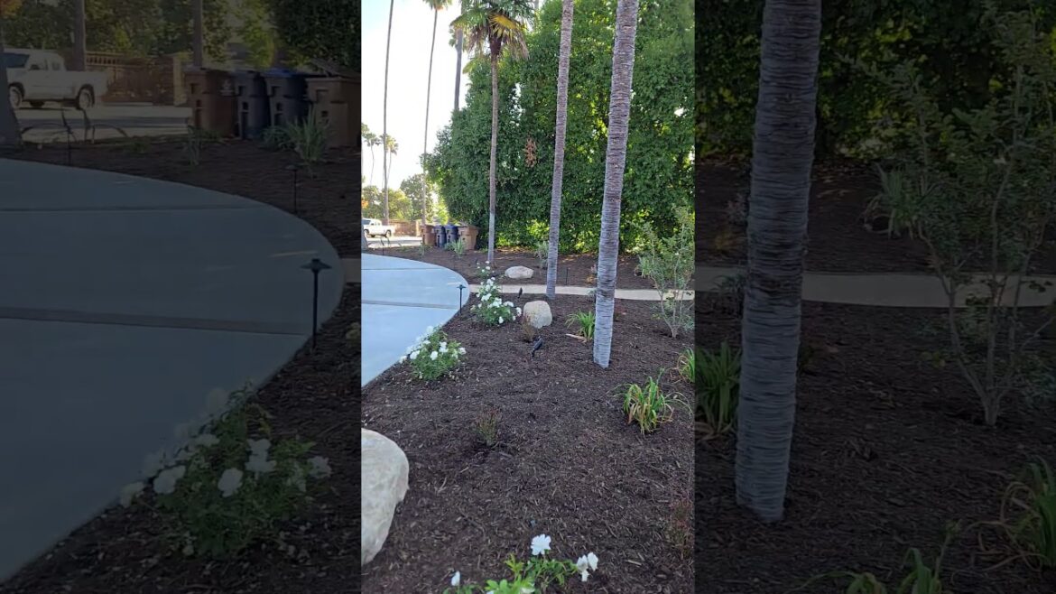 #outdoordesign #fullerton #gardendesign #gardendesign #masonry #outdoordesign #fullerton #gardendesign #gardendesign #masonry