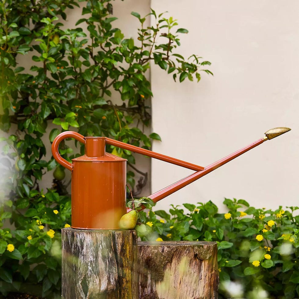 Haws Warley Fall Watering Can, Rust