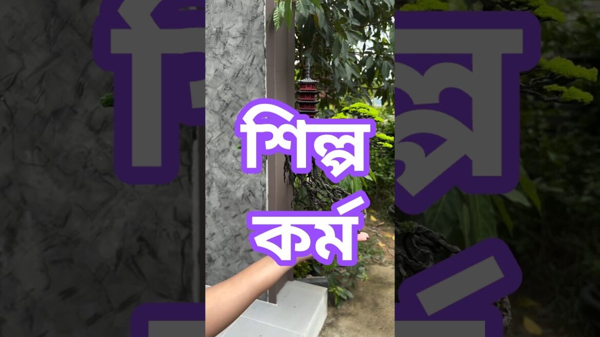 Transform Your Space with a Mini Japanese Garden & Bonsai Trees