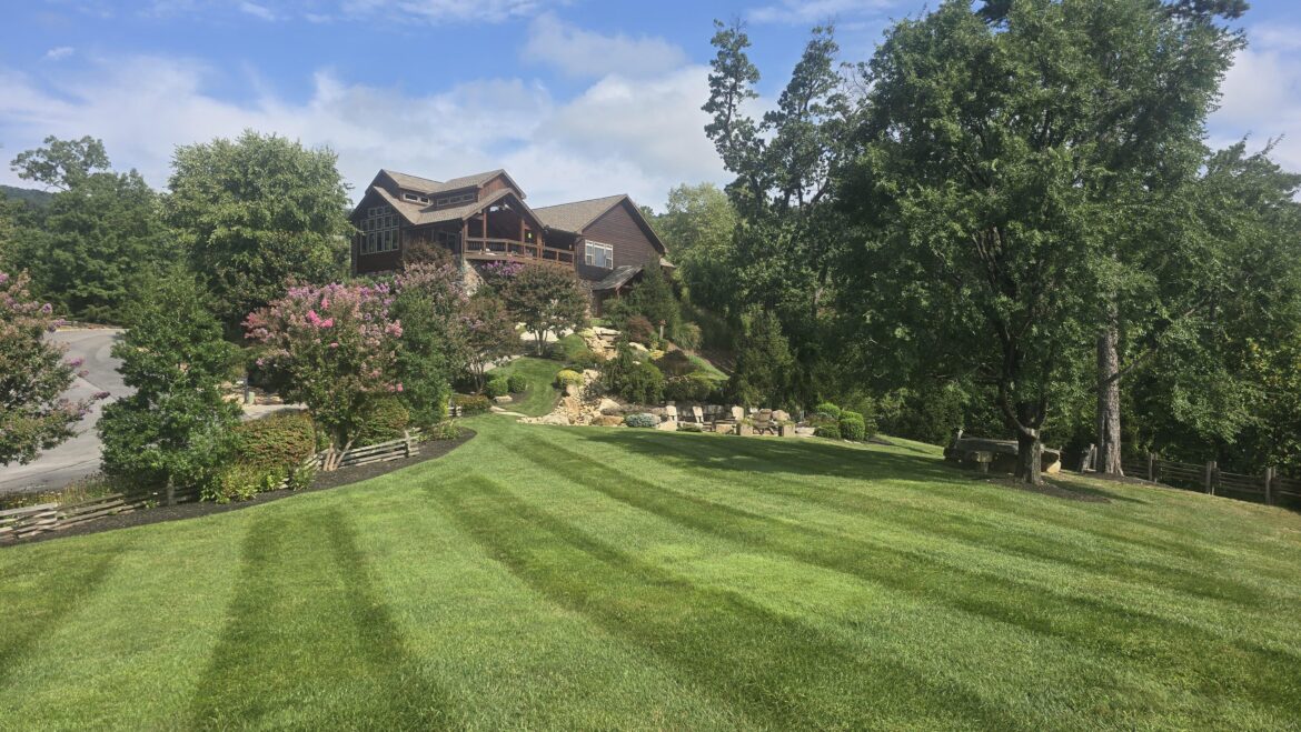 Keeping East Tennessee beautiful as always.