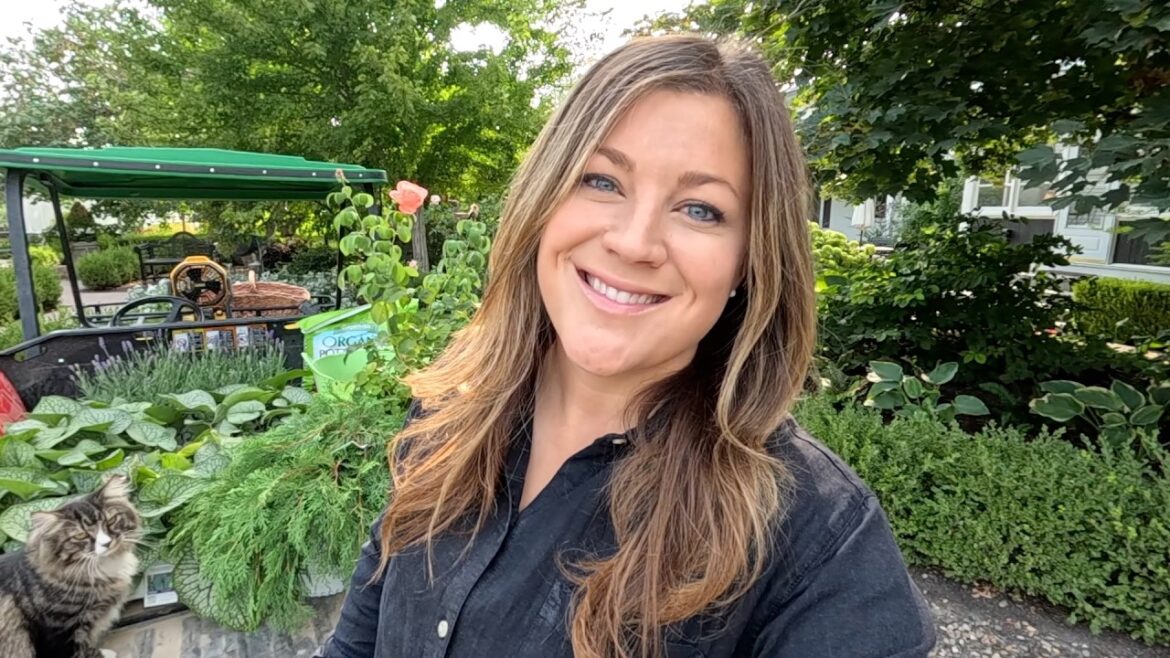 Garden Answer: Planting a Bunch of Brunnera & Some Other Random Things + Plant Maintenance! 🌿🌹✂️ Planting a Bunch of Brunnera & Some Other Random Things + Plant Maintenance! 🌿🌹✂️