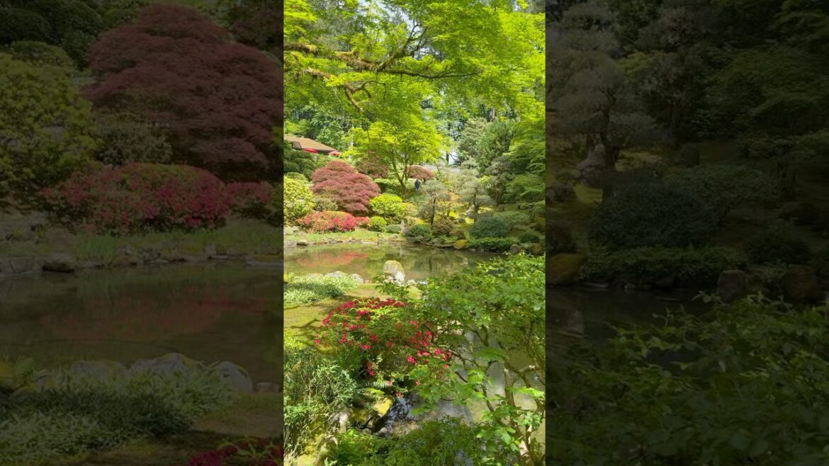Portland Japanese Garden in Portland, Oregon | Sub MrMaple Show