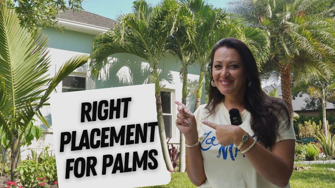 10 Stunning Palms in One Front Yard And How to Design With Them 10 Stunning Palms in One Front Yard And How to Design With Them