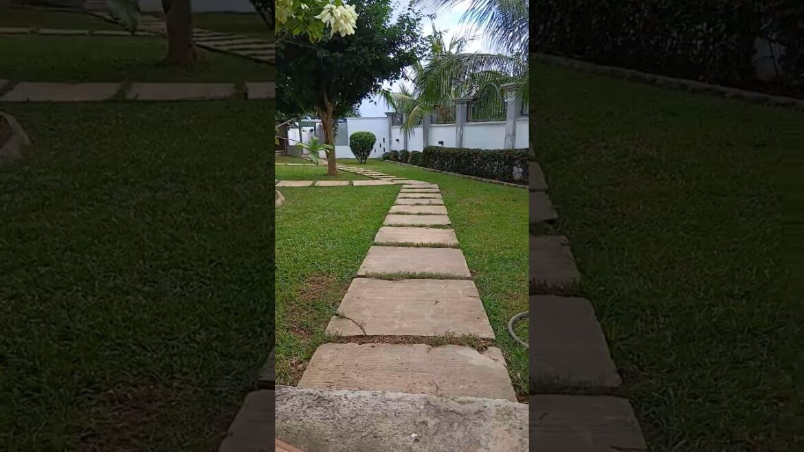 Enjoy This Beautiful Garden Design#gardendelight #nature #home #youtubeshorts #garden#gardendesign