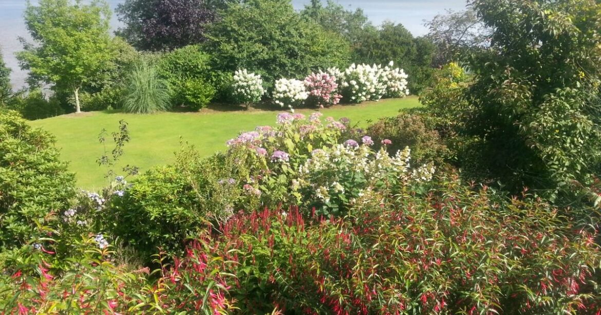 Stunning Dumfries and Galloway garden to open to the public for charity Ipso logo
