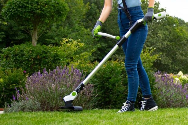 Woman cutting grass with cordless grass trimmer