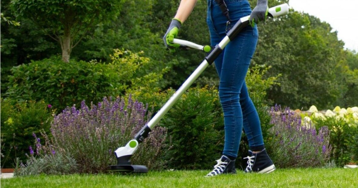 Gardeners look to sale cordless trimmer to cut even the longest grass for autumn Ipso logo