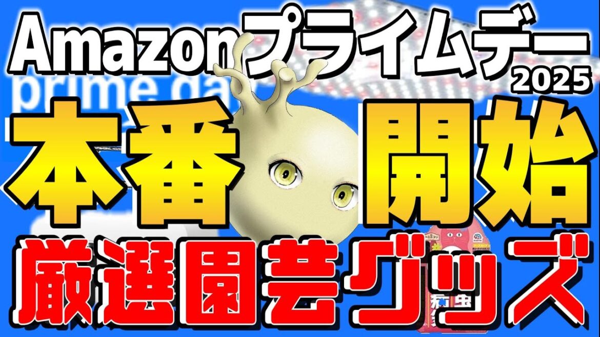 【セール本番】Amazonプライムデーで本当に安くなっている厳選おすすめ園芸用品【塊根、多肉、観葉植物向け】 【セール本番】Amazonプライムデーで本当に安くなっている厳選おすすめ園芸用品【塊根、多肉、観葉植物向け】