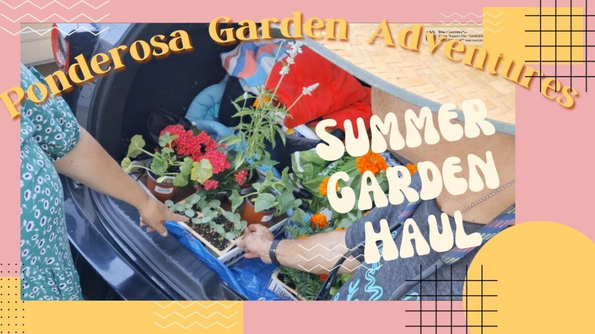 Summer Garden Haul