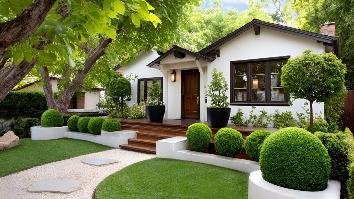 Fresh Front Yard Transformation | Small Space Landscaping Ideas That Look Expensive Fresh Front Yard Transformation | Small Space Landscaping Ideas That Look Expensive