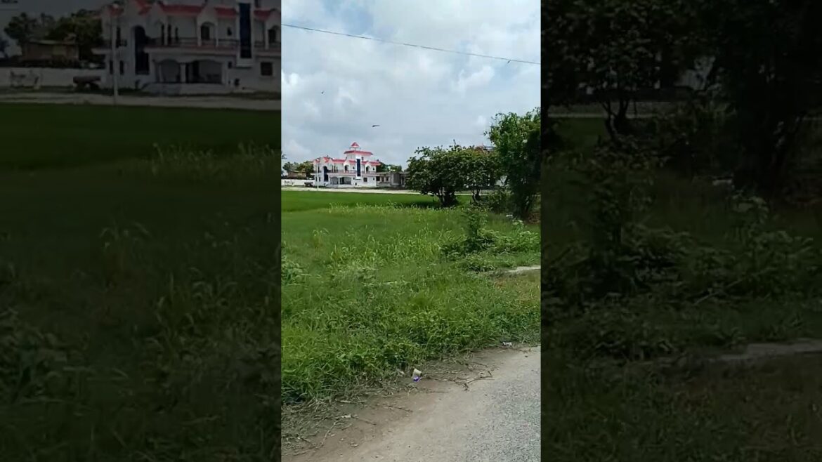 hariyali hi hariyali ☘️🌵 hariyali hi hariyali ☘️🌵