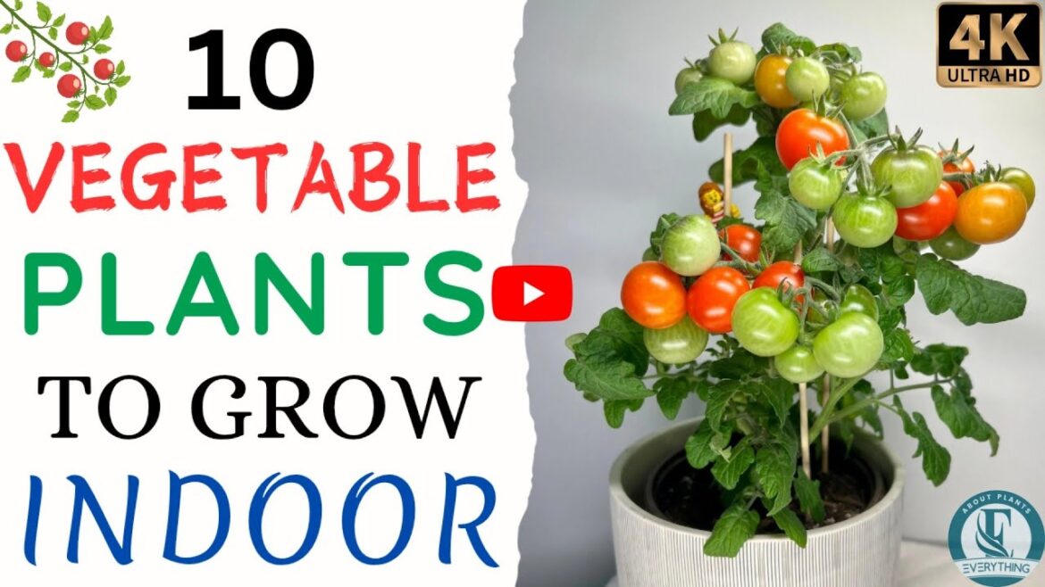 10 Easy-to-Grow Vegetables for Your Indoor Garden. 🌿🌱 10 Easy-to-Grow Vegetables for Your Indoor Garden. 🌿🌱