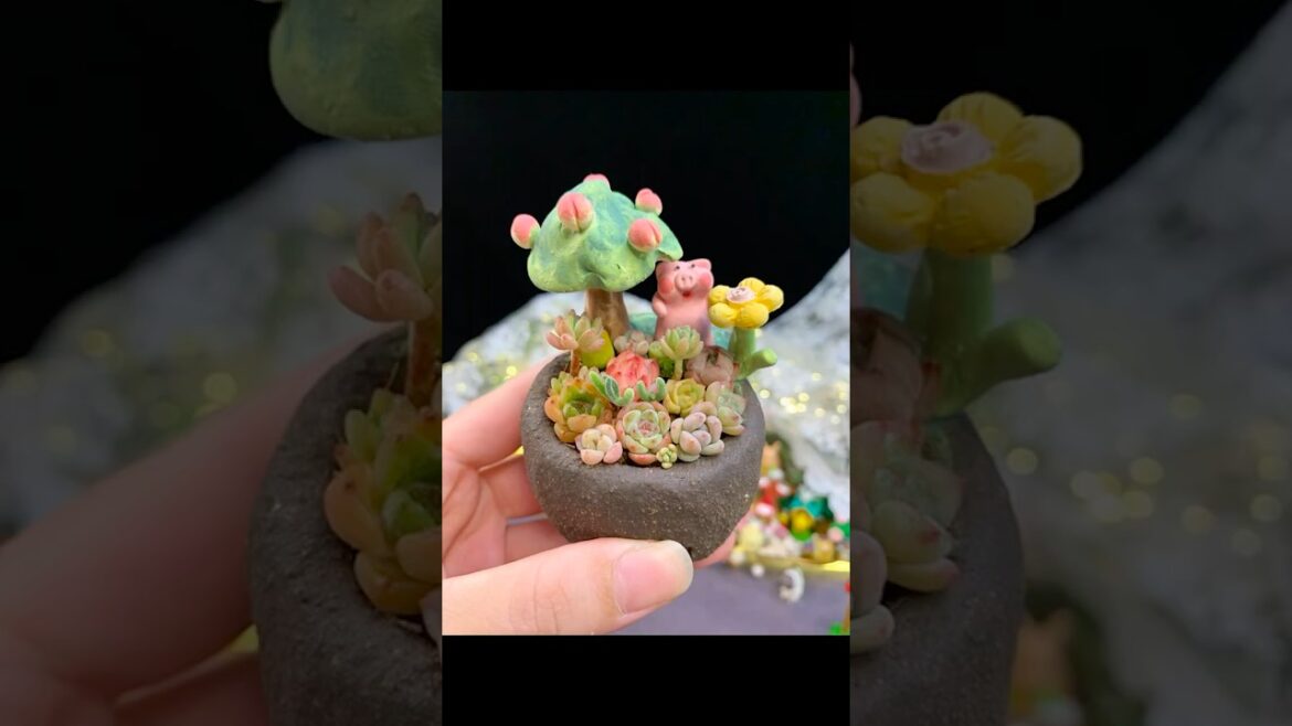 DIY Mini Succulent Arrangement: Amazing Ideas for Your Home Garden Plants | 다육이 | 多肉植物