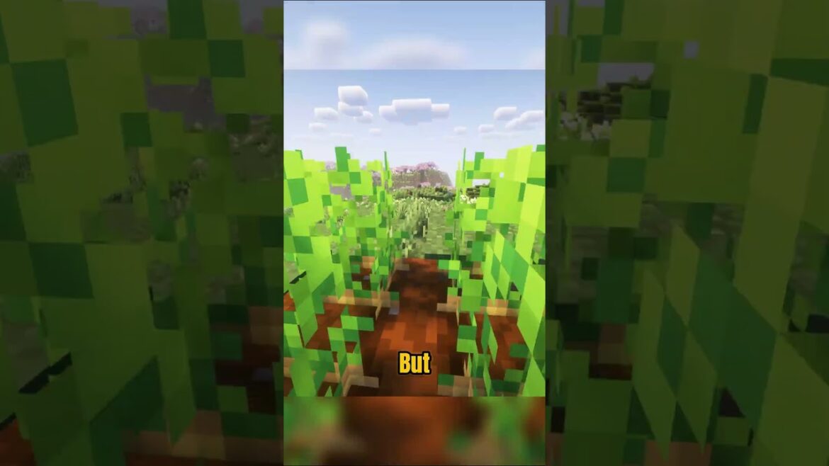 HUGE GARDEN POTATO #minecraft #minecraftmemes #minecraftshorts #minecraftpe HUGE GARDEN POTATO #minecraft #minecraftmemes #minecraftshorts #minecraftpe