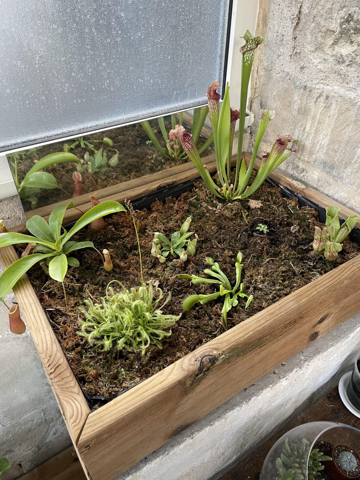 How does my bog look